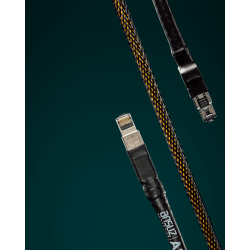 Ansuz Digitalz A2 Ethernet