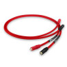 Chord Shawline X RCA