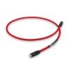 Chord Shawline Digital Tuned ARAY